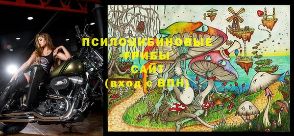 Альфа ПВП Алексин