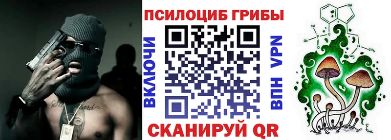 blacksprut рабочий сайт  Моздок  Псилоцибиновые грибы GOLDEN TEACHER 